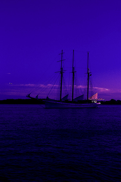 Purple Sky