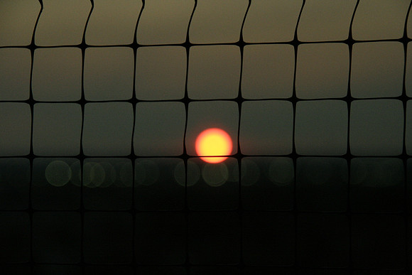 Mesh Series 1