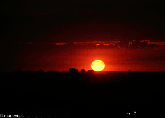 Burnt Orange 1