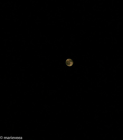 Super Moon