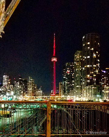 Toronto is home